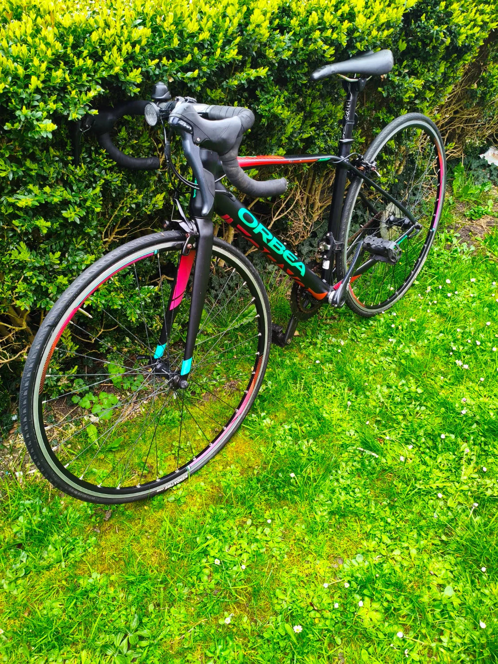 Orbea AVANT H50 2019