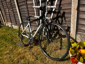 Giant TCR c3 2010