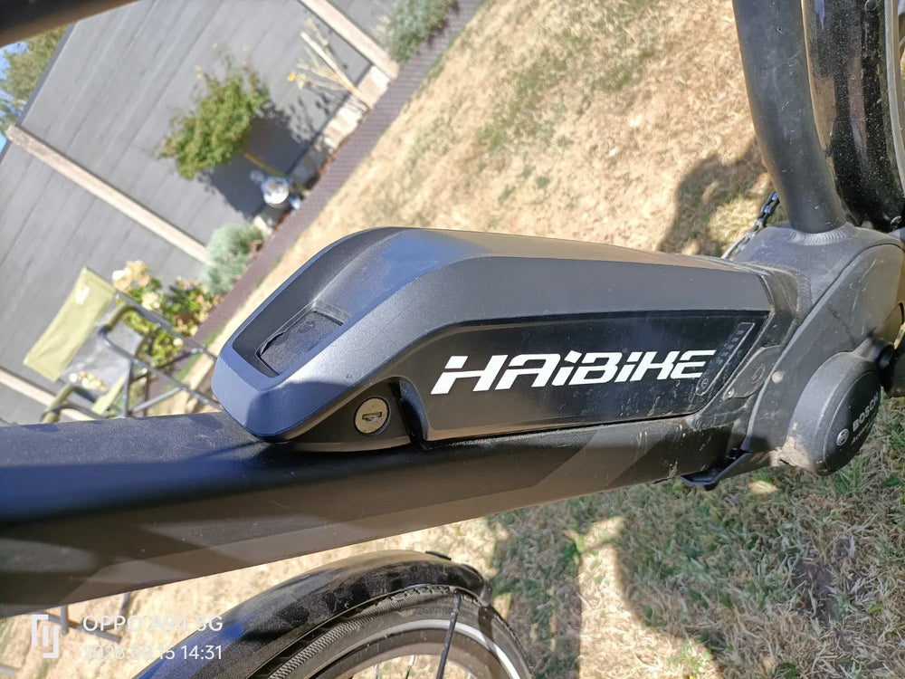 Haibike Sduro Trekking 1.0 2020