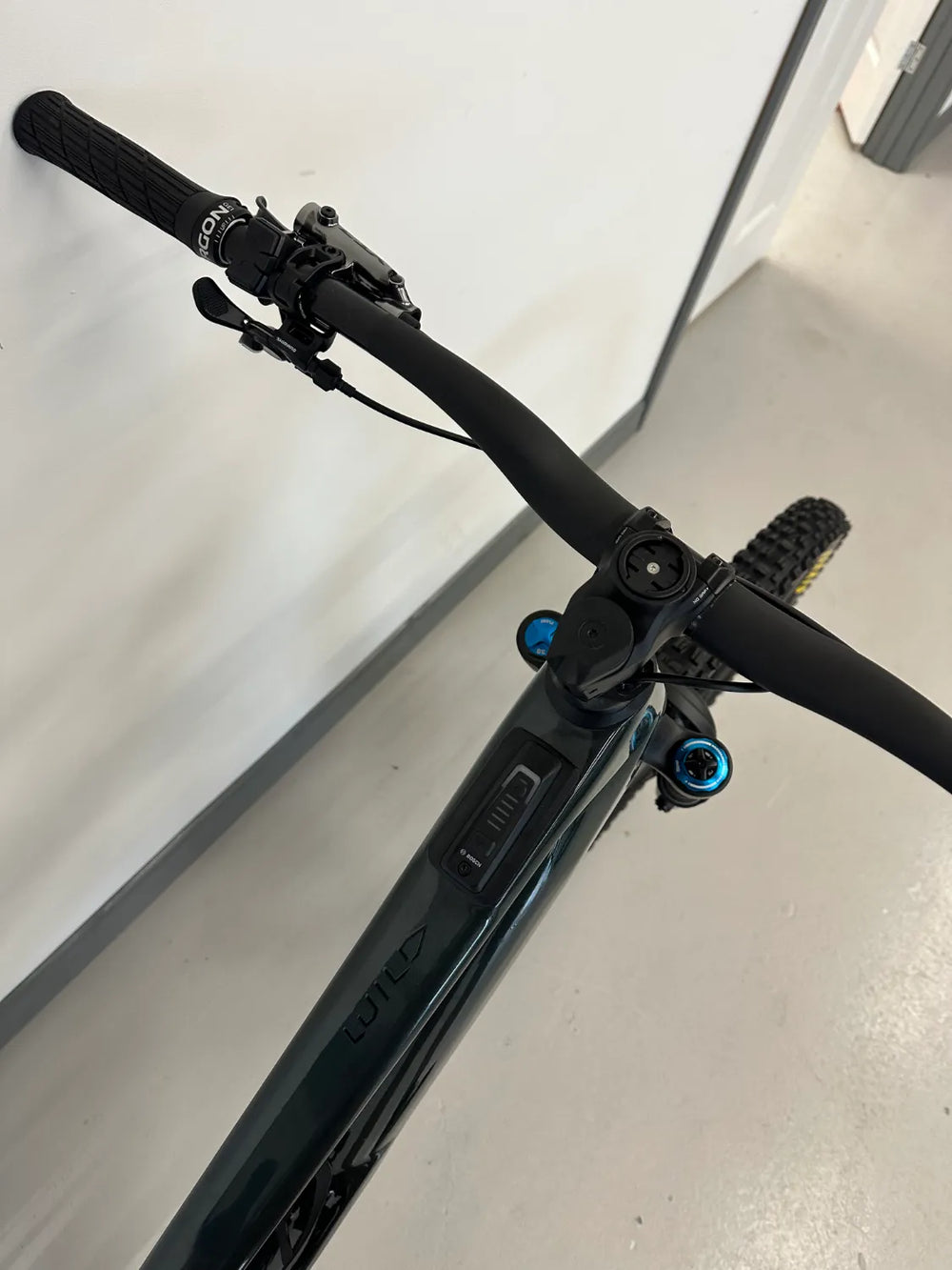 Orbea Wild M-ltd 2025