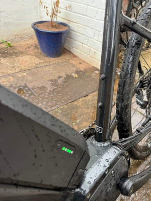 Raleigh Mustang E Comp 2019