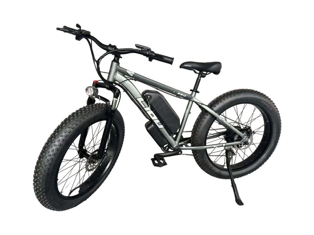 Liou Liou holding HK LIMITED  2025