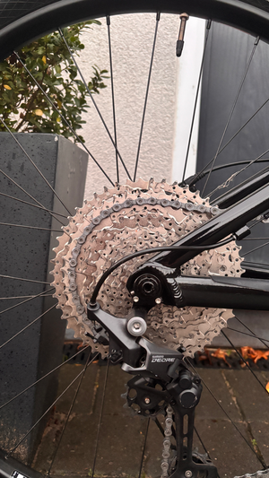 Vitus Sentier 27 VR Mountain 2024