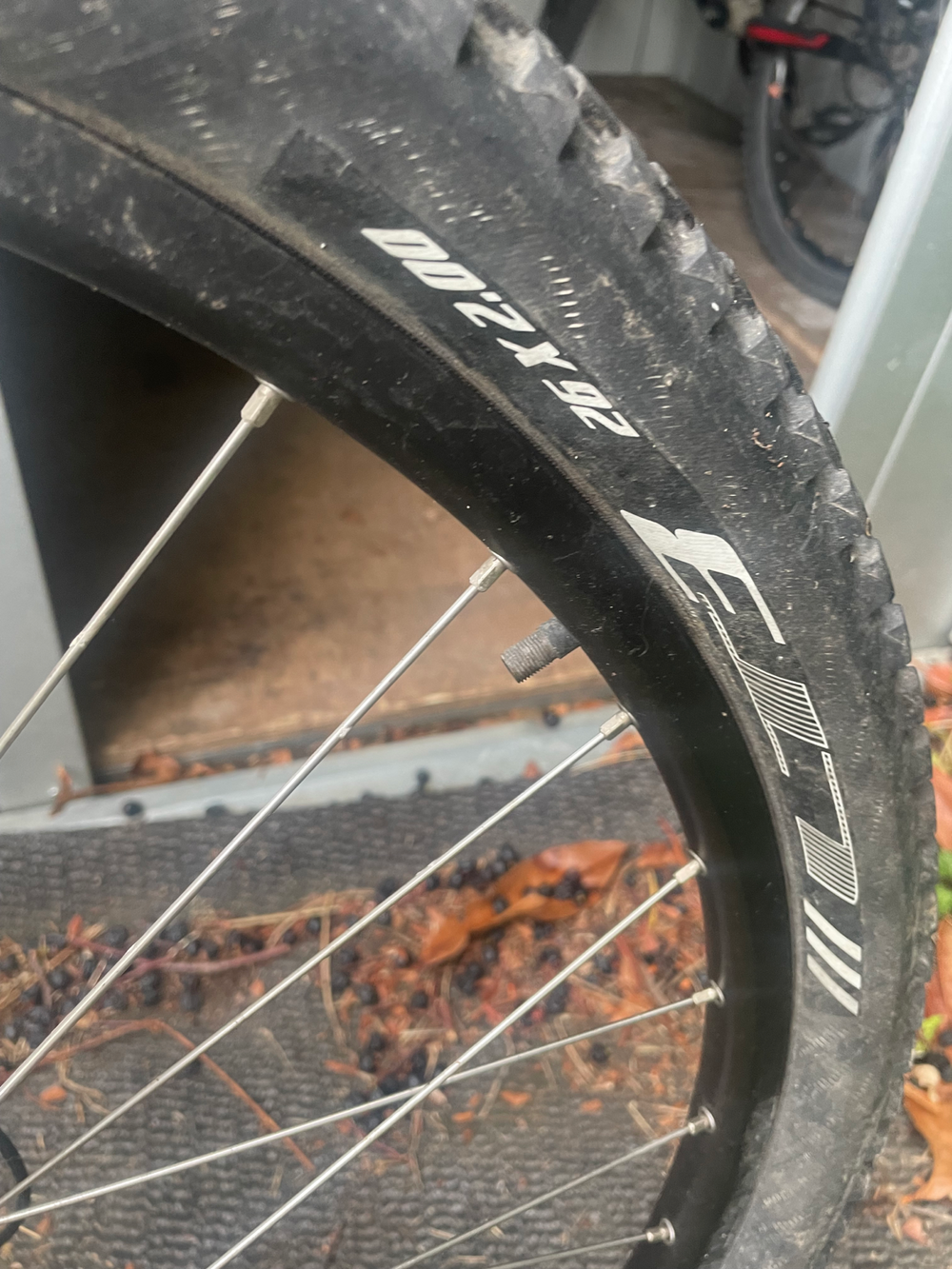 Trek Skye SL 2018