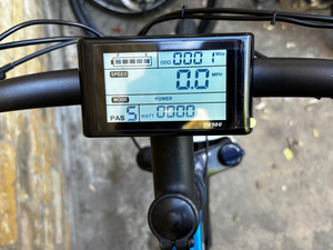 Carrera Valour Disc 2013