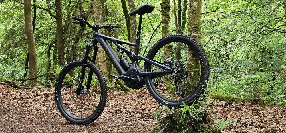 Specialized Levo Comp Alloy G3 2024