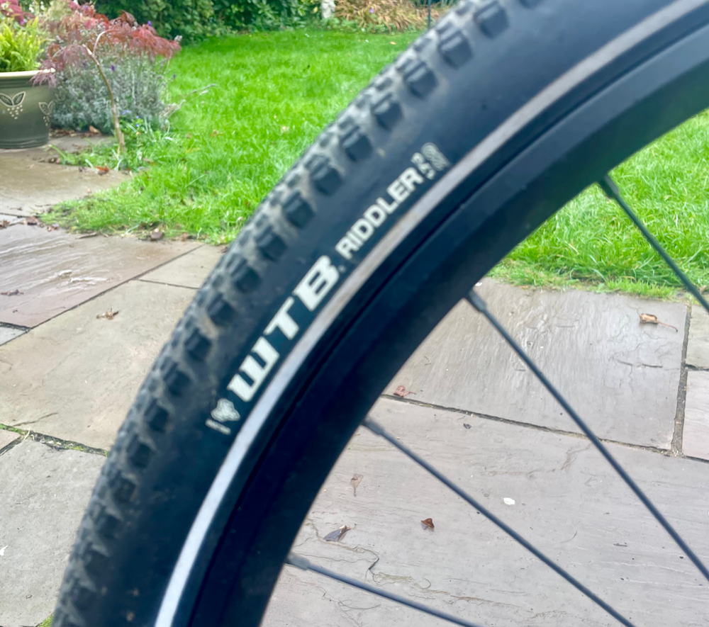 Ridgeback Arcus 1 2024