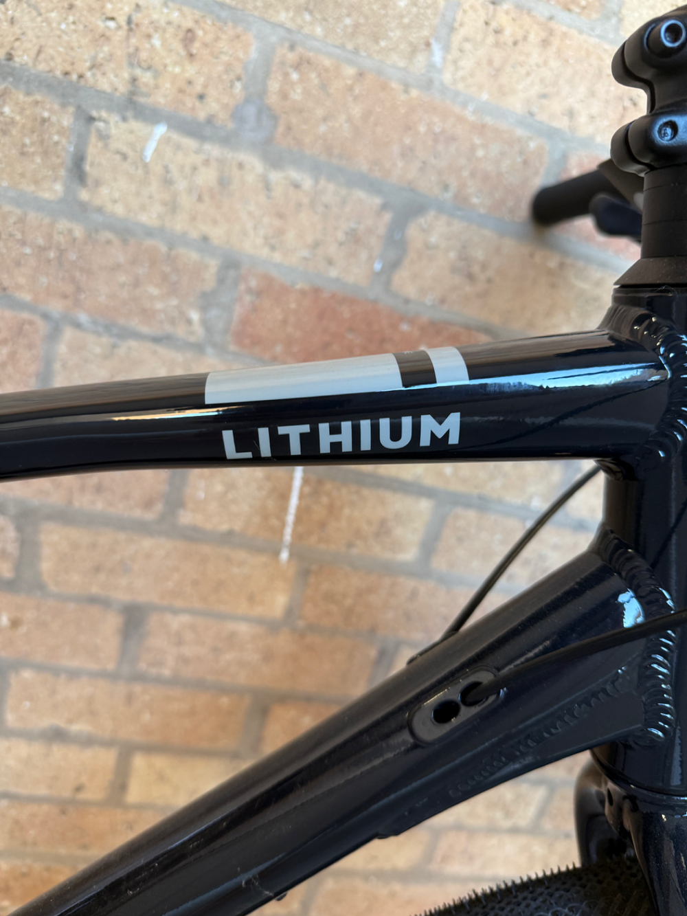 Pinnacle Lithium 1 2022