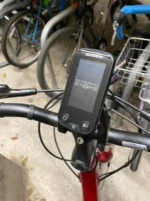 Ridgeback Electron Plus 2016