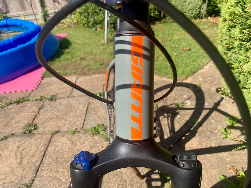 Giant Talon 3 2019