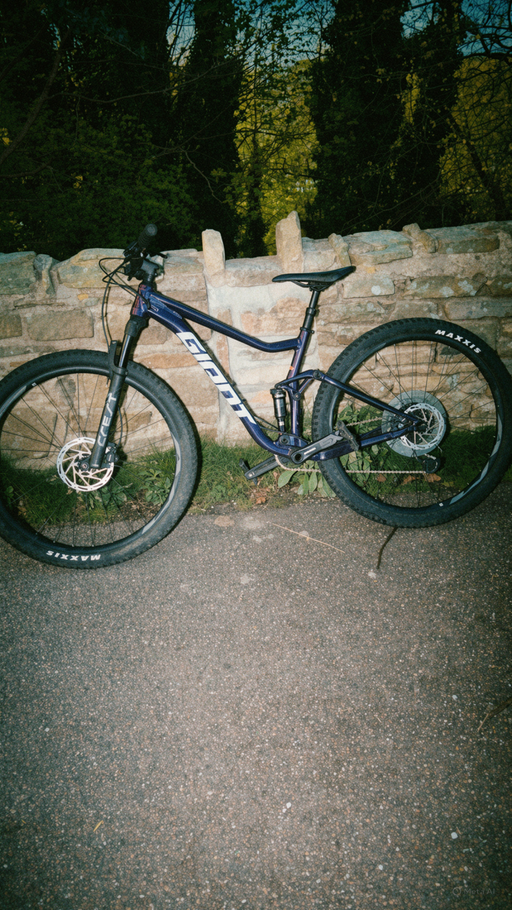 Giant Stance 29 2 2020