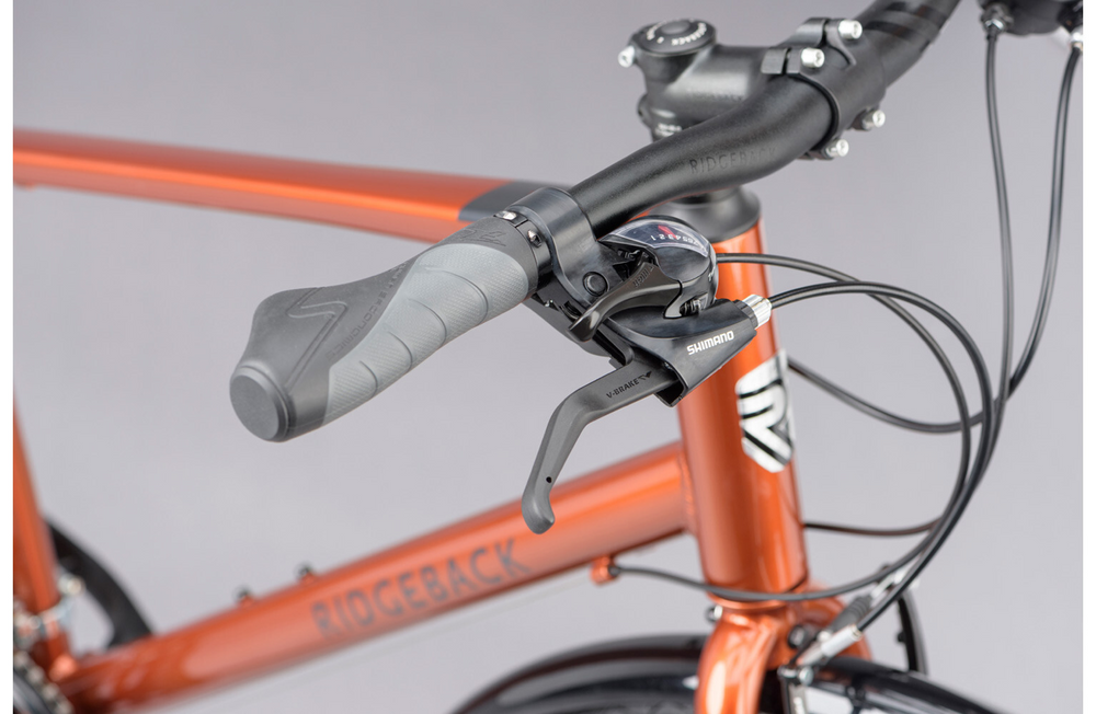 Ridgeback Speed 2026