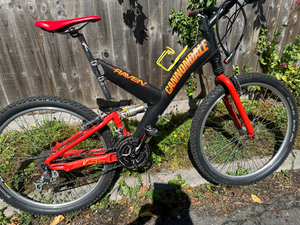 Cannondale Raven 2018