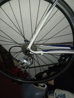Specialized Secteur Elite Compact 2011