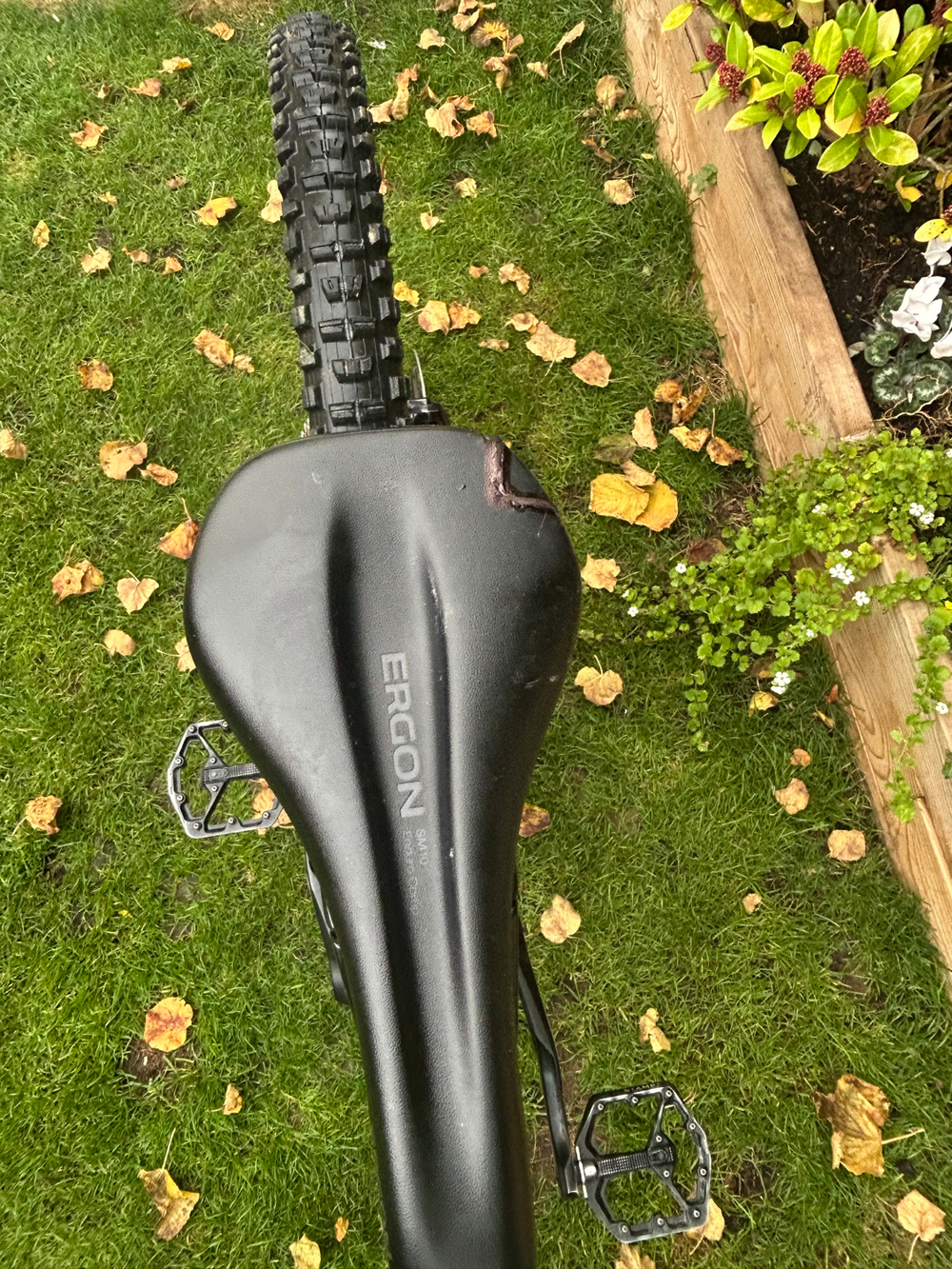 Canyon Torque Mullet CF 9 2023