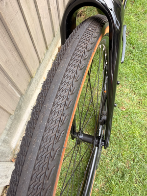 Giant Revolt Advanced 2 2025