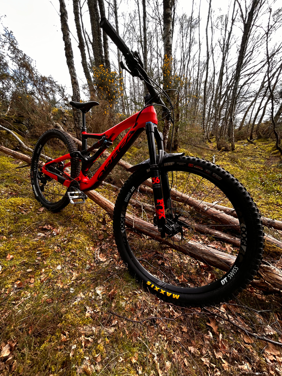 Orbea RALLON M10 2019