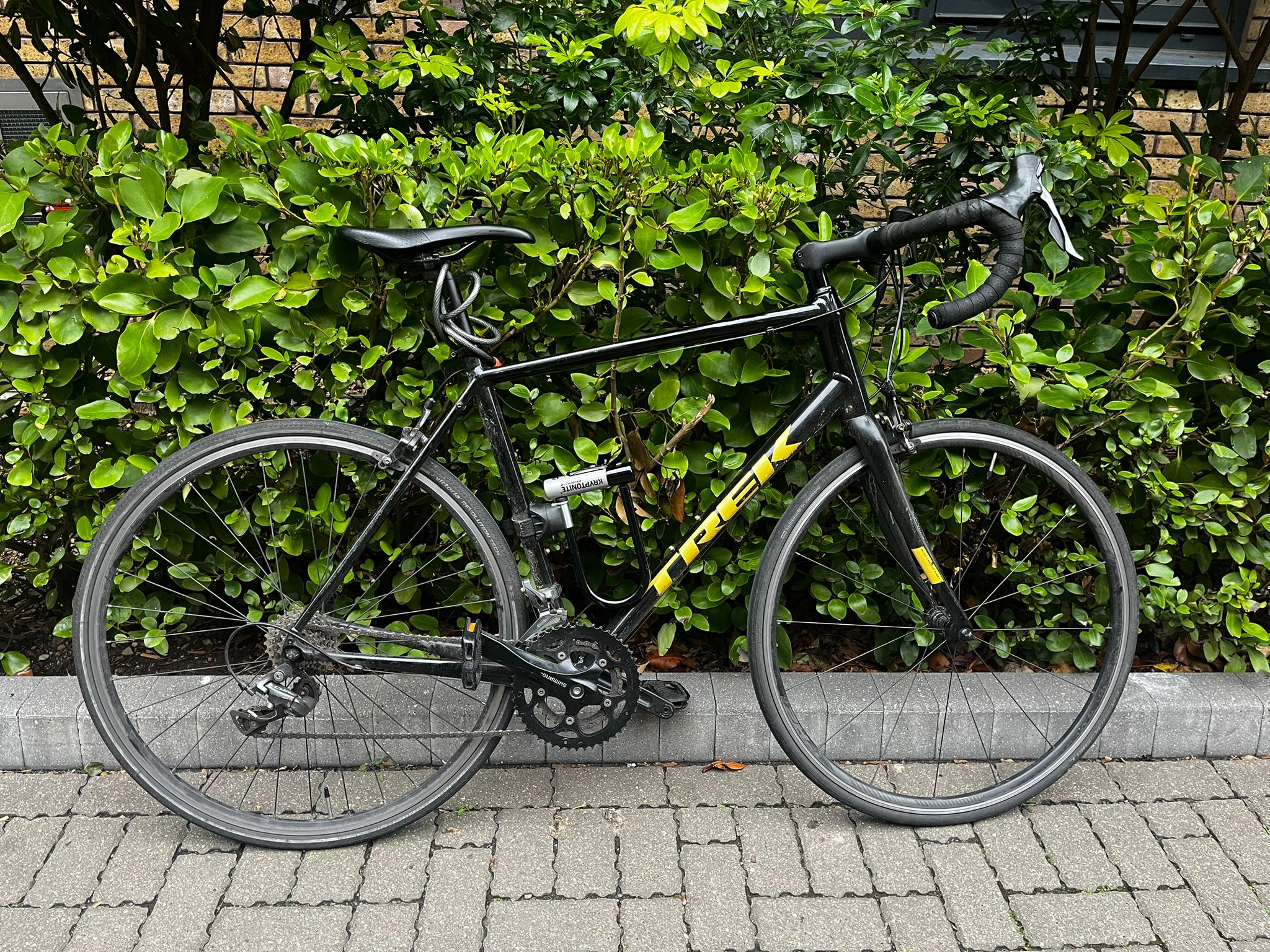 Trek Domane AL 2 2022