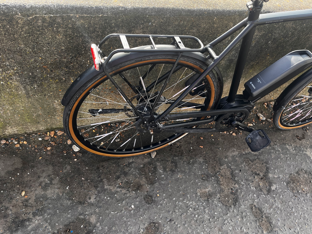 Riese & Muller Roadster 2019