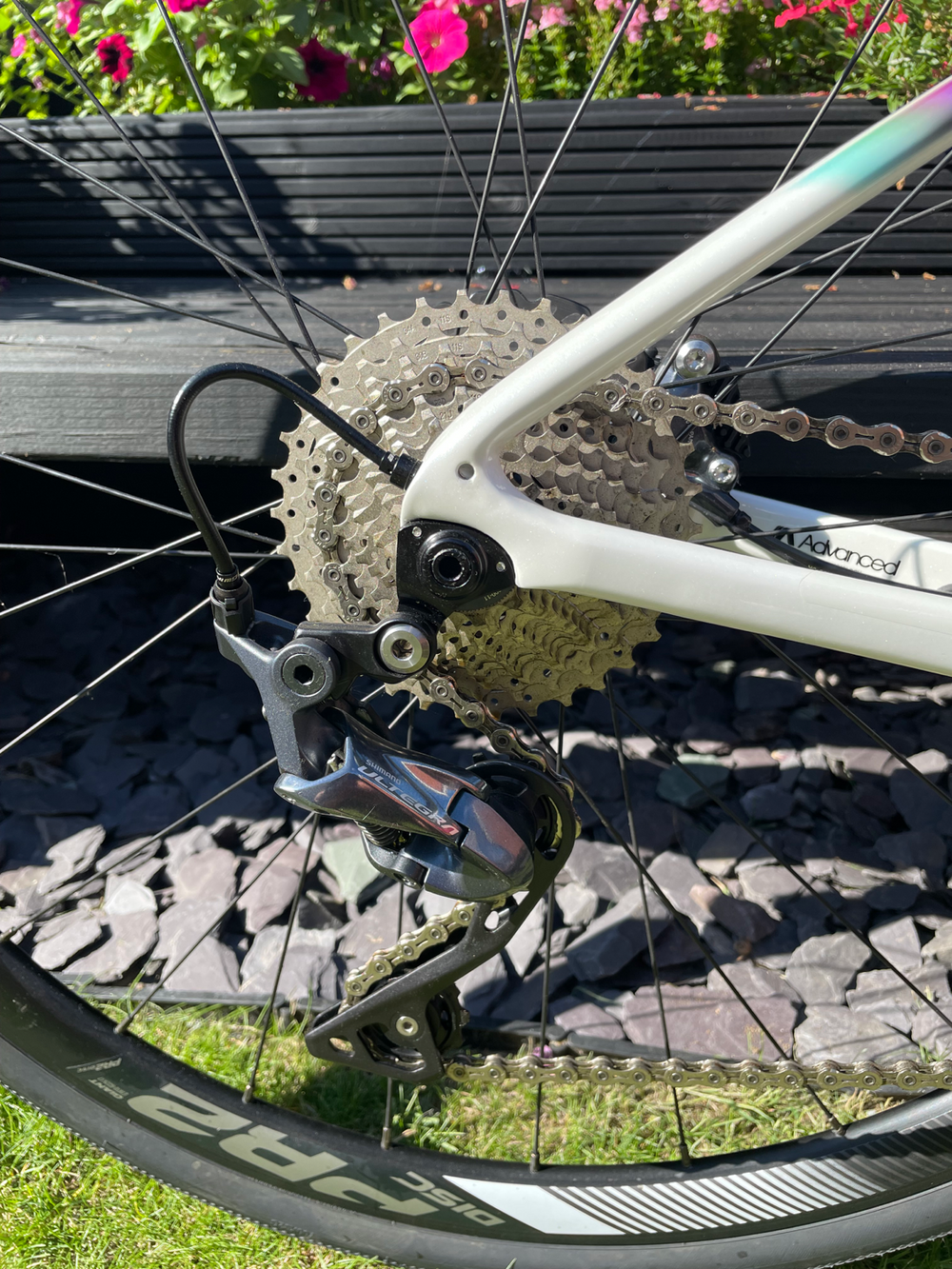 Liv Avail Advanced 1 2020