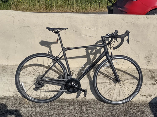Giant Contend 1