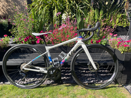 Liv Avail Advanced 1 2020