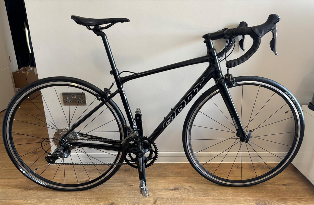 Giant Contend 2 2020