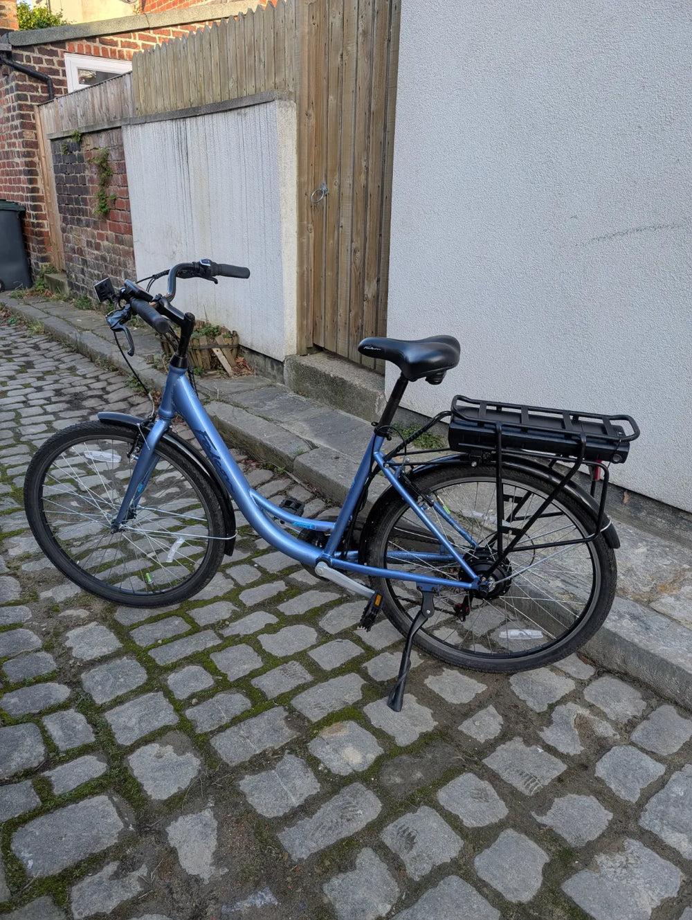 FALCON Serene 2023