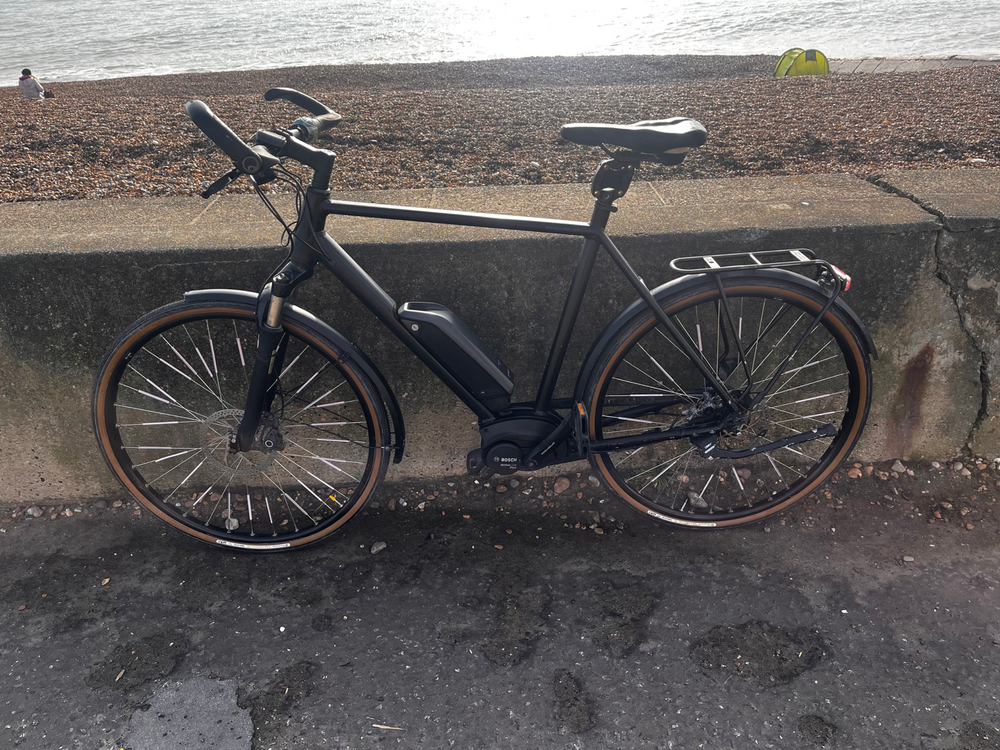 Riese & Muller Roadster 2019
