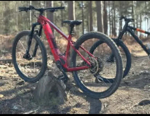 Trek Marlin+ 6 2024