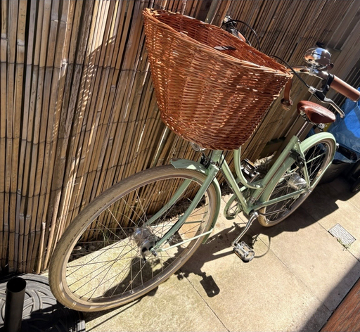 Pashley Britannia 5 Speed 2025