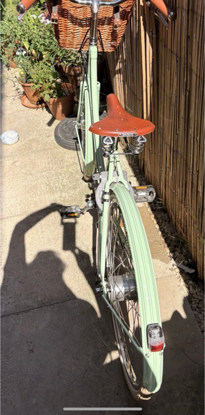 Pashley Britannia 5 Speed 2025