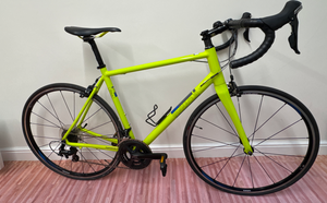 Pinnacle Dolomite