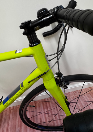 Pinnacle Dolomite