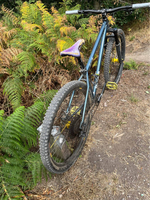 Stanton switch 9er