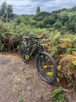 Stanton switch 9er