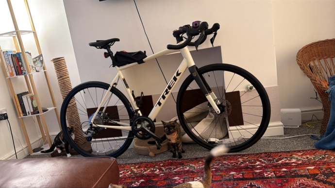 Trek Domane 4.1 Compact 2026