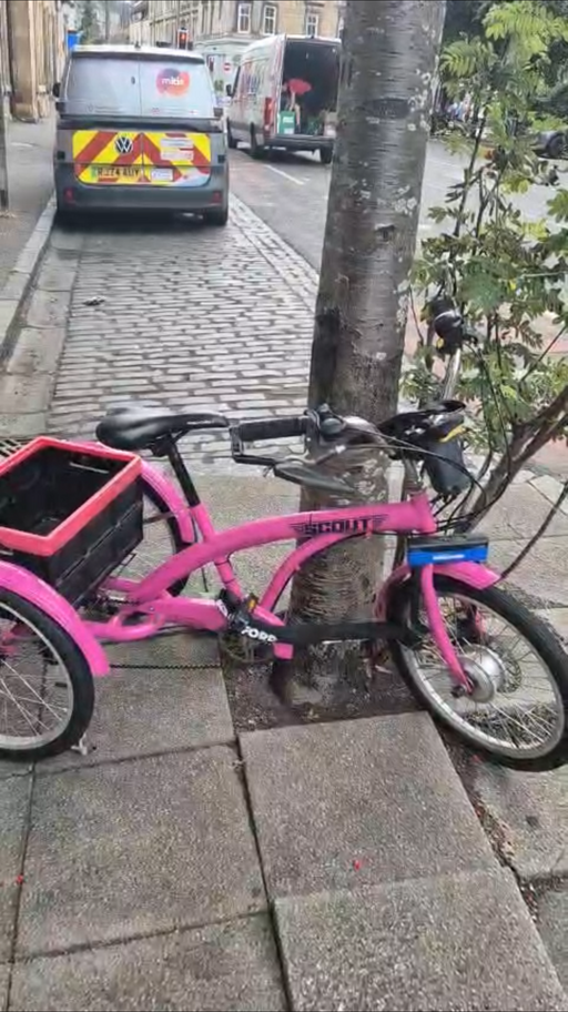 Scoot Tricycle