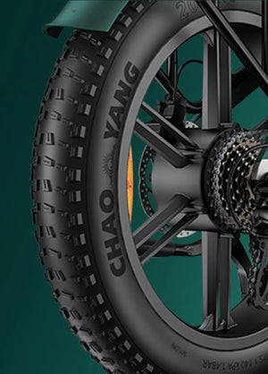 ENGWE Engine Pro 2.0 20 Inch Fat Tyre 48V16Ah 8-Speed