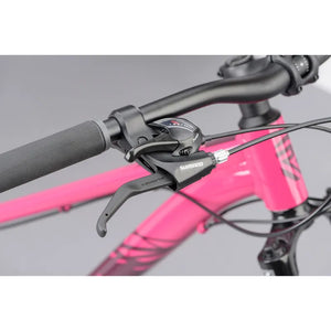 Ridgeback Terrain 2 Open Frame 2025