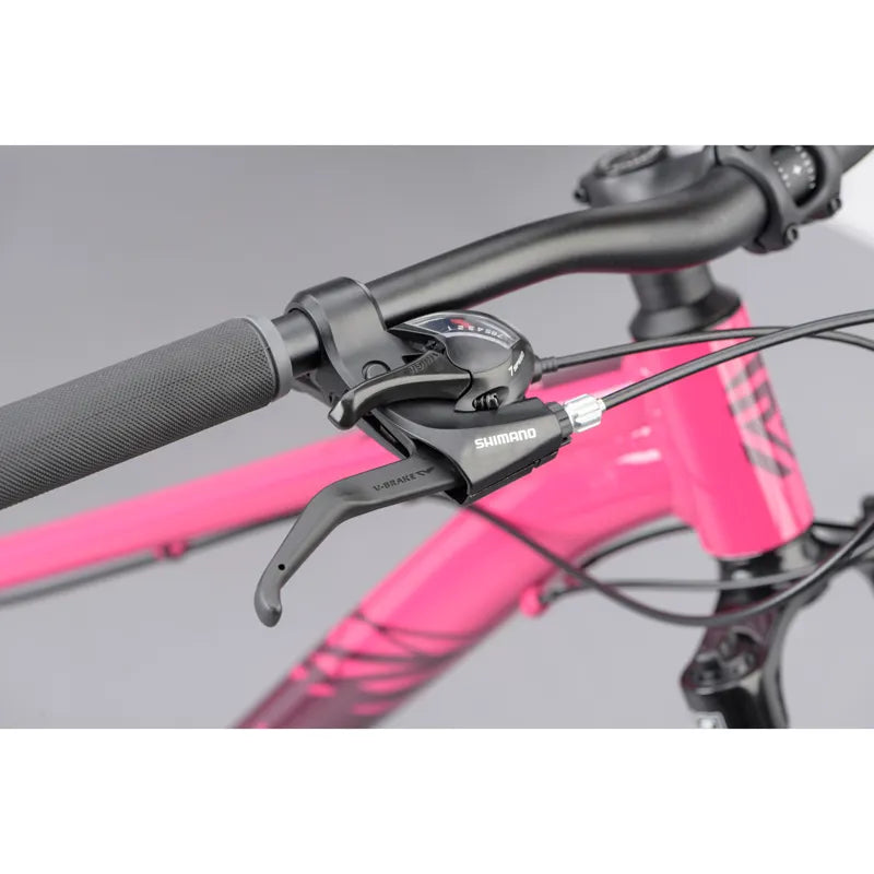 Ridgeback Terrain 2 Open Frame 2025