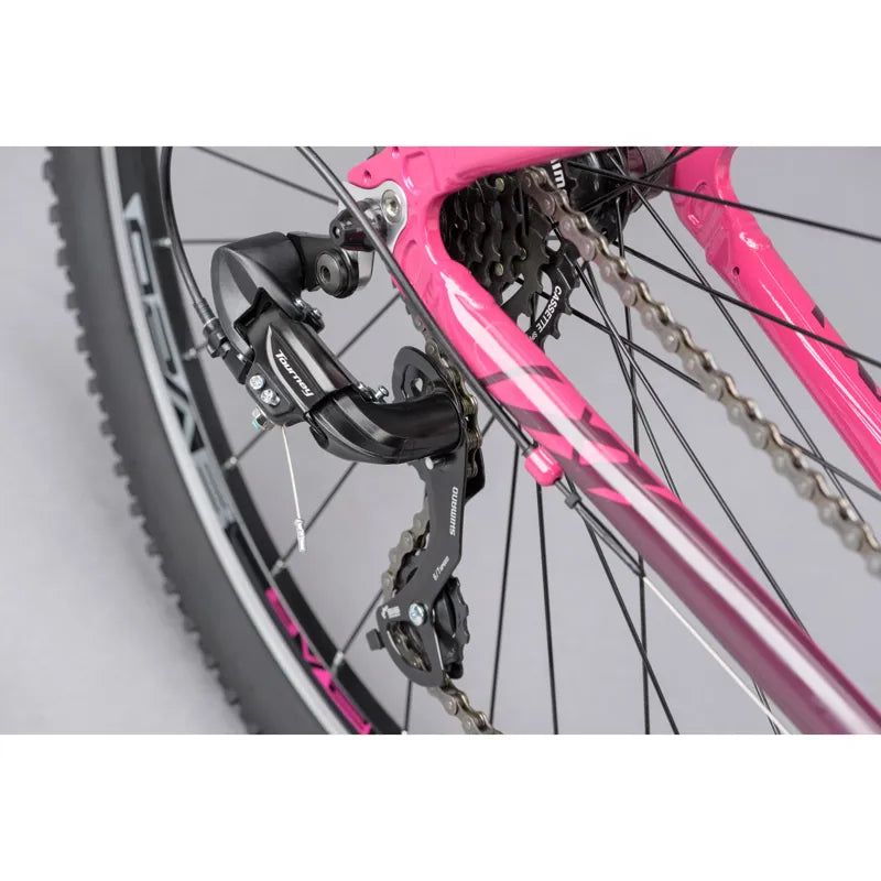 Ridgeback Terrain 2 Open Frame 2025