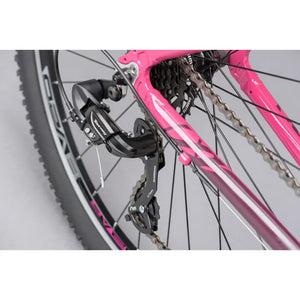 Ridgeback Terrain 2 Open Frame 2025
