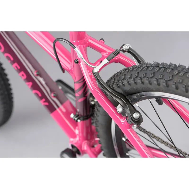 Ridgeback Terrain 2 Open Frame 2025
