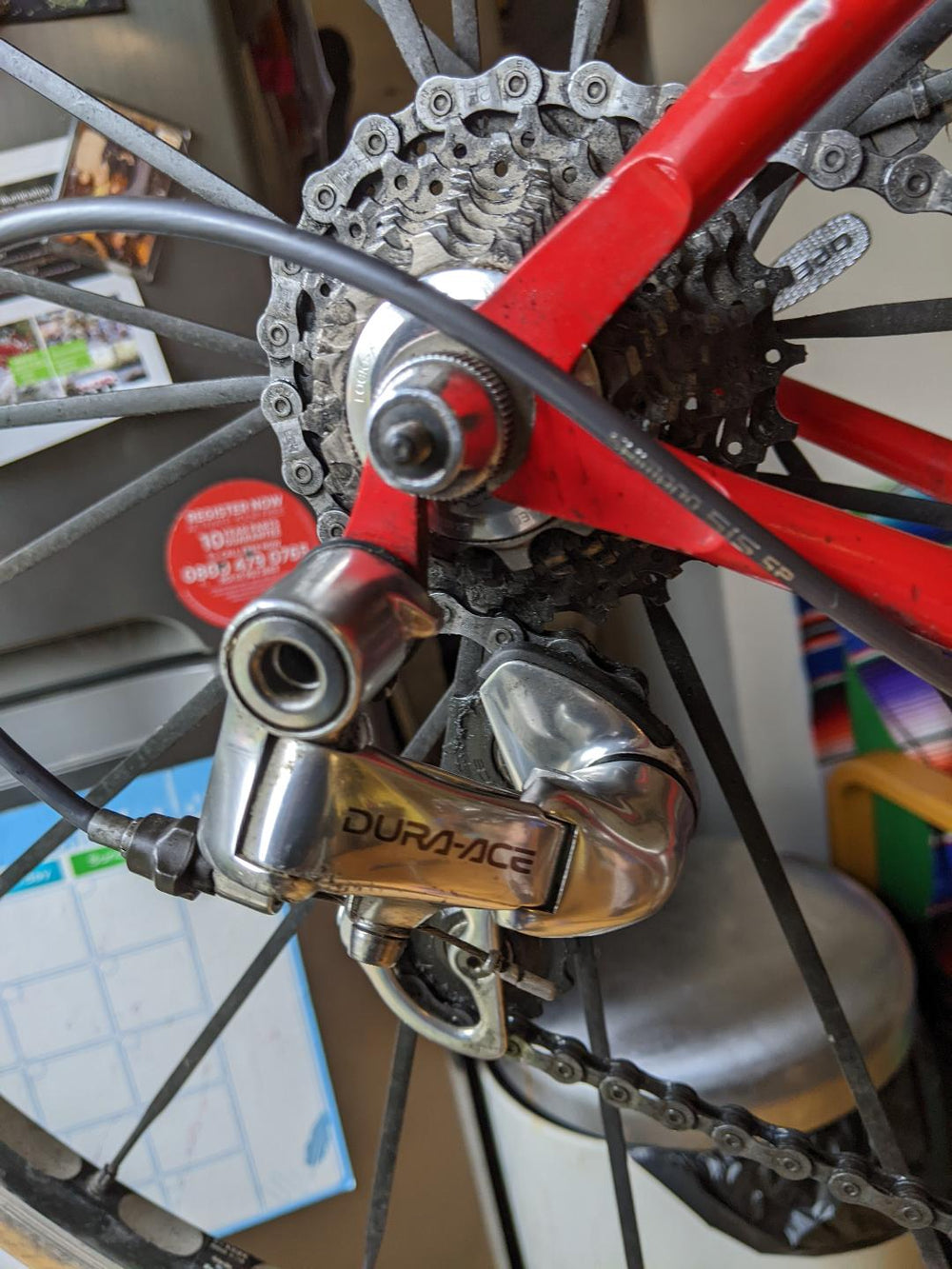 Argos Racing Cycles 2019